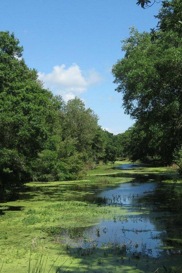 Sawgrass Lake Park